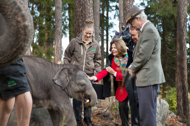 131029_Kungen-och-Drottningen-01-Foto-Sofia-Andersson-Kolmau030Arden.jpg